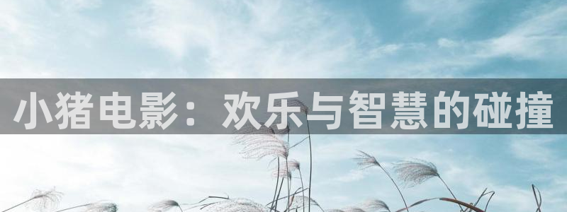 2021年的电视剧天狼影视西瓜
