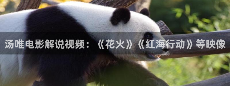 霍元甲免费观看西瓜