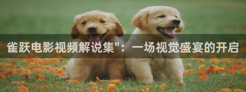少年白马醉春风西瓜影院免费观看