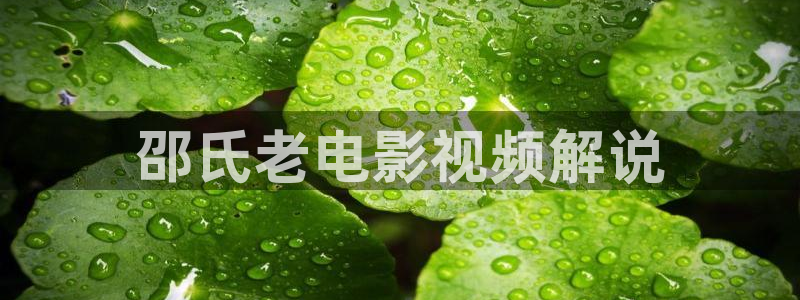 樱花电影大全免费观看西瓜中文字幕