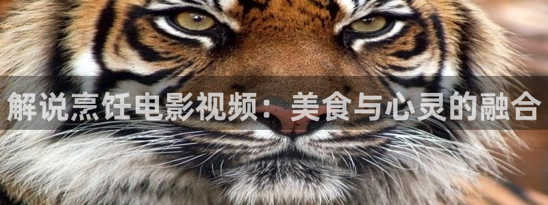 十七岁完整版在线观看西瓜动漫