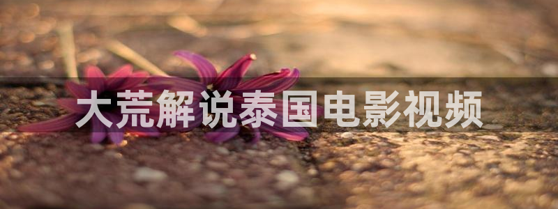 一触即发在线观看免费完整版西瓜