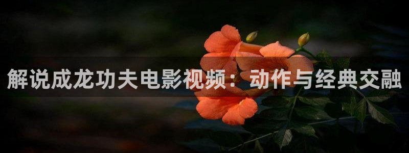藏西瓜