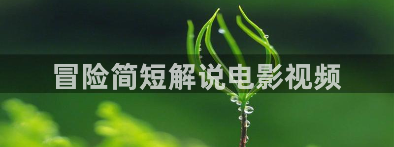 秋霞电影网西瓜