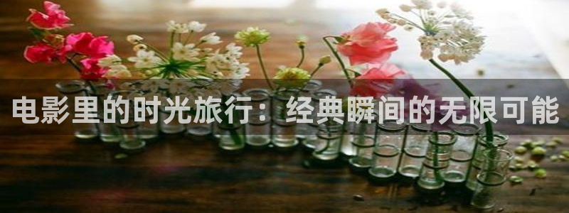免费观看西瓜影院在线观看