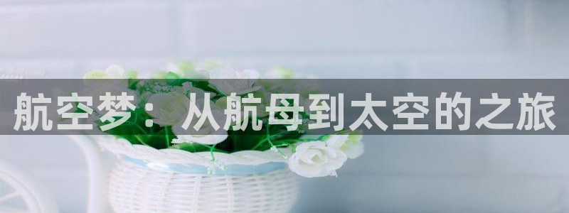 西瓜上海西瓜