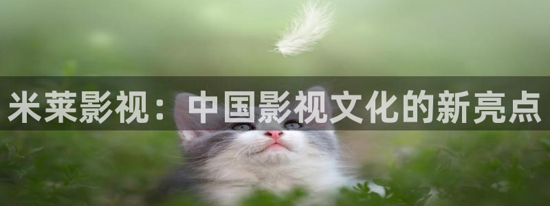 最新西瓜电影