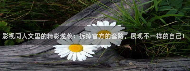 西瓜视频在线观