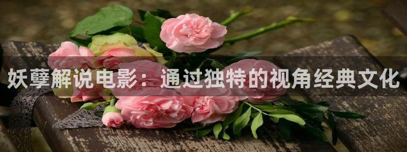 没有秘密的你免费观看西瓜