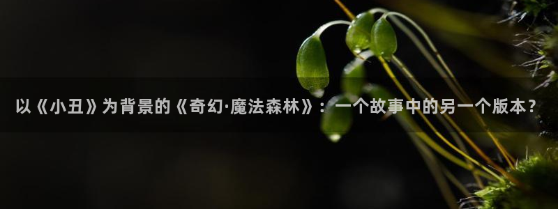 琪琪电影西瓜