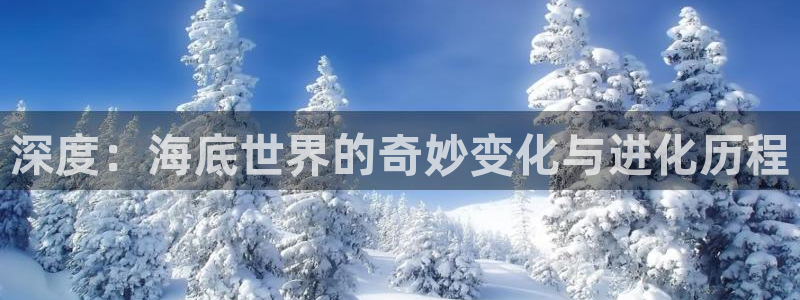 西瓜影片