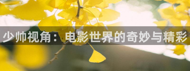 .西瓜影院