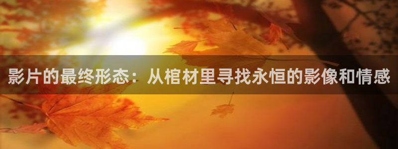 新西瓜影院