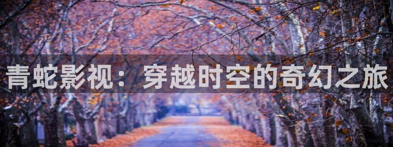 双面胶电视免费观看西瓜