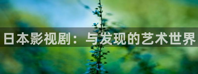 我叫赵甲第电视剧在线观看西瓜