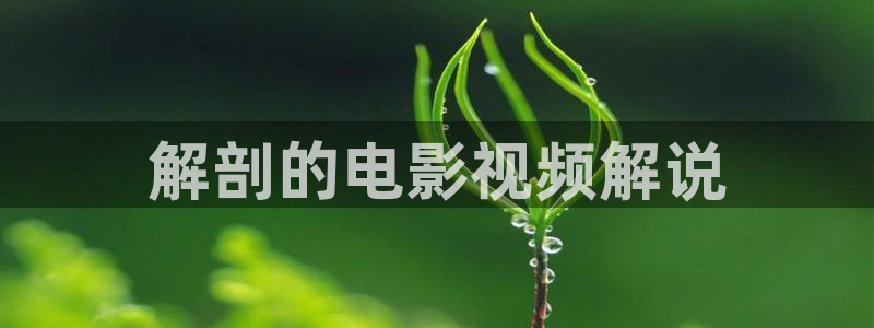 山海情电视剧免费观看西瓜