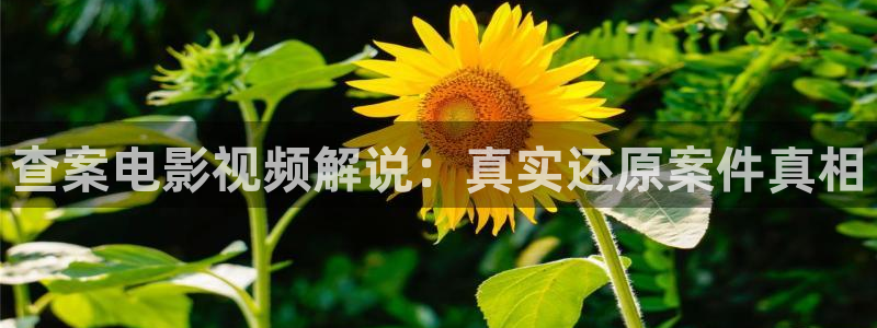 西瓜影院西瓜影院