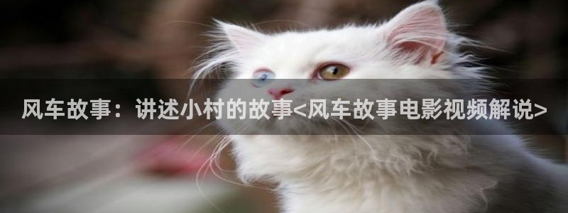官方正版西瓜视频