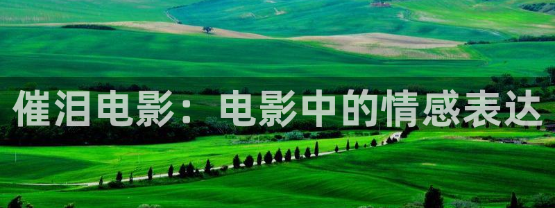 色戒在线观看西瓜