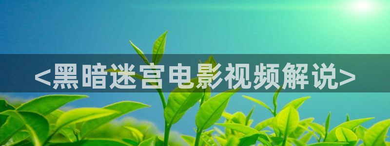 亮剑在线观看全集电视剧完整版西瓜影院