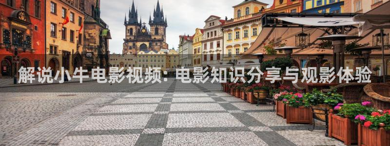 影院西瓜