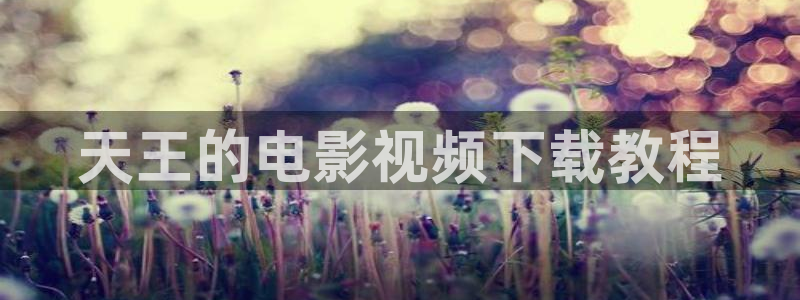 yy影院免费观看电视剧网站西瓜