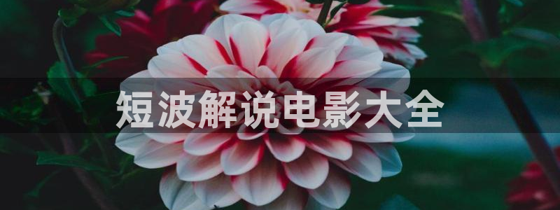 江照黎明在线观看免费西瓜