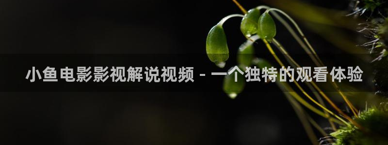 长歌行免费观看完整版西瓜