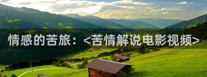 西瓜影