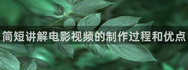成化十四年西瓜免费观看