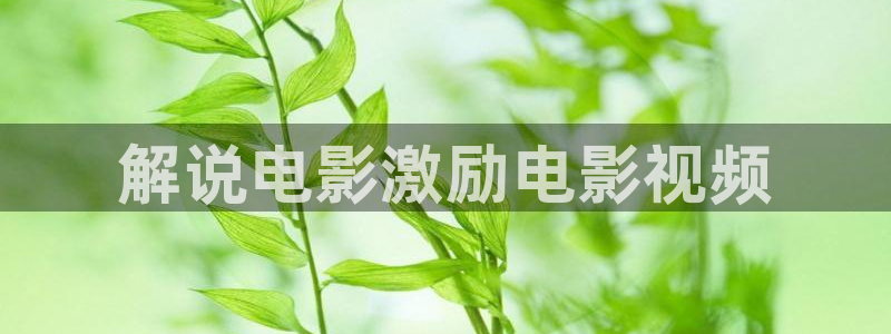 特警力量完整版免费观看西瓜