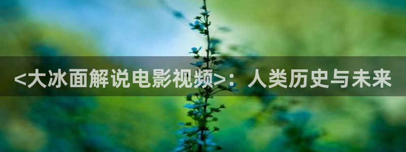 了不起的女孩电视剧全集免费西瓜