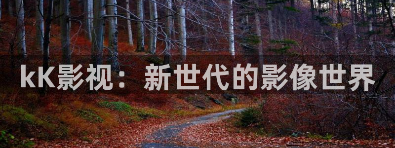 大宋宫词免费观看西瓜