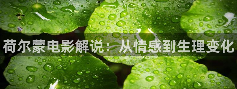 西瓜影院免费观看