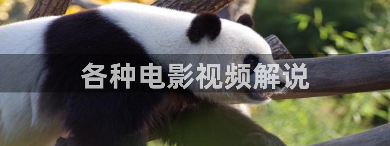 围城电视剧完整版免费观看西瓜