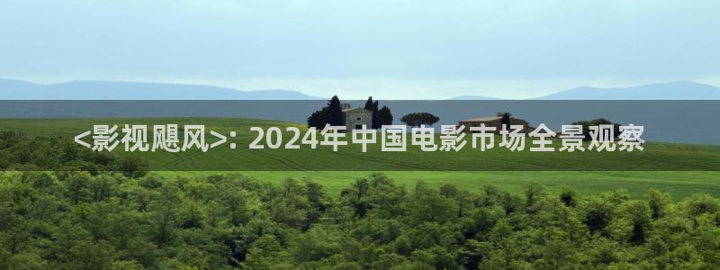 西瓜影