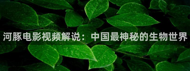 鬼咬鬼在线观看西瓜