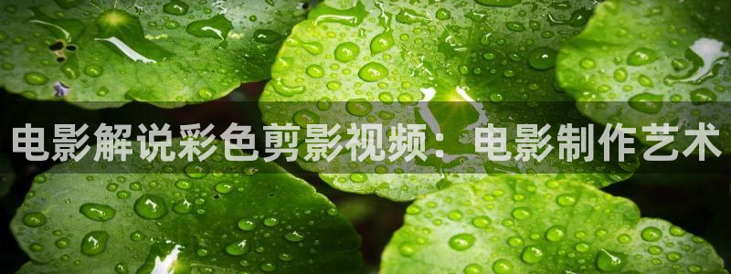 西瓜视频官方
