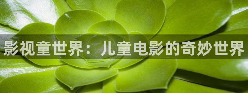西瓜影院在线观看免