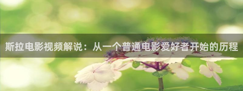 西瓜视频免费观看最新电视