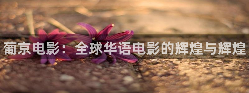 妈妈的朋友免费观看西瓜：葡京电影：全球华语电影的辉煌与辉煌
