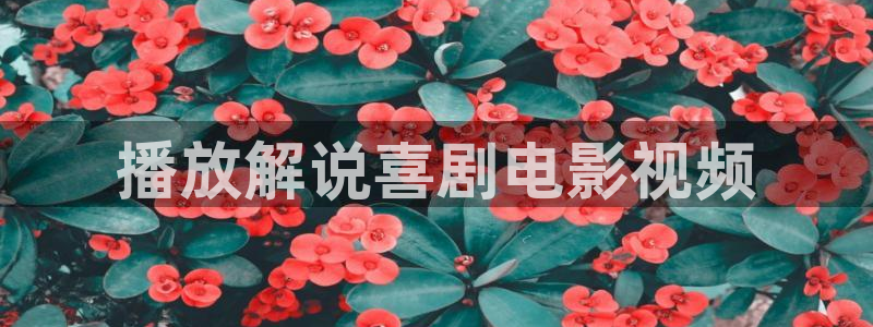 行尸走肉第二季西瓜影院