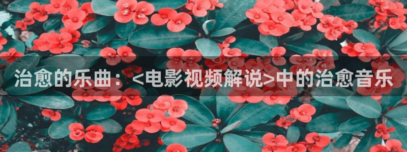 王牌对王牌免费观看西瓜