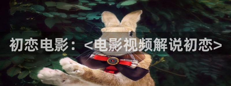 将恋爱进行到底免费观看西瓜