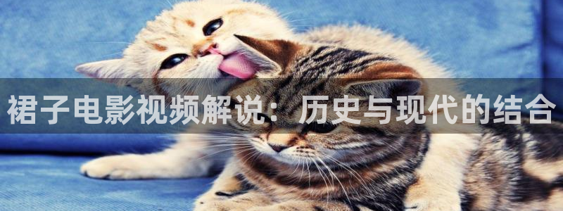 西瓜被窝电影院