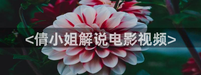 西瓜电影app：<倩小姐解说电影视频>