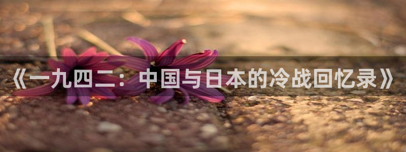 东北往事之黑道风云20年西瓜影院：《一九四二：中国与日本的冷战回忆录》