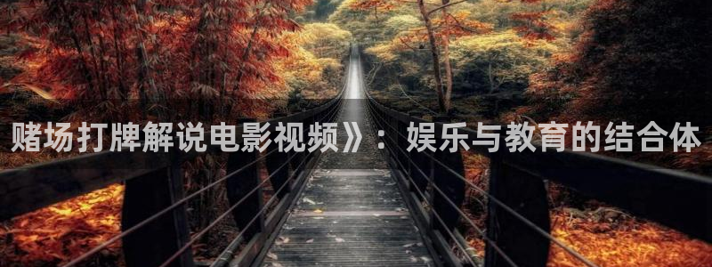 西瓜视大