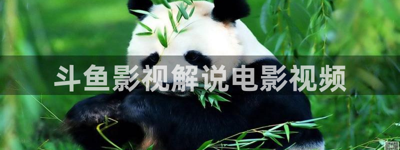 驻站电视剧免费播放在线观看西瓜