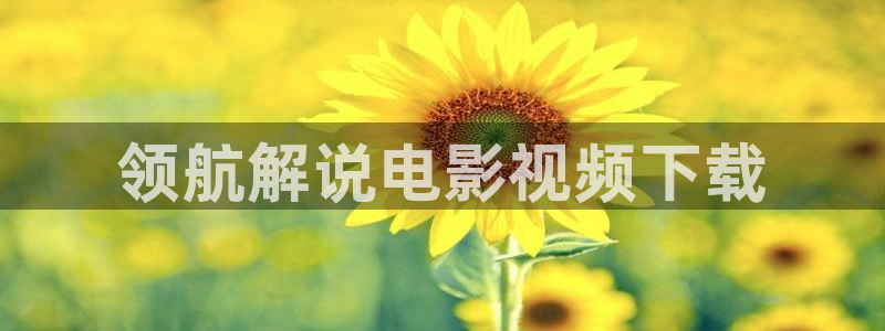 西瓜看球在线免费观看